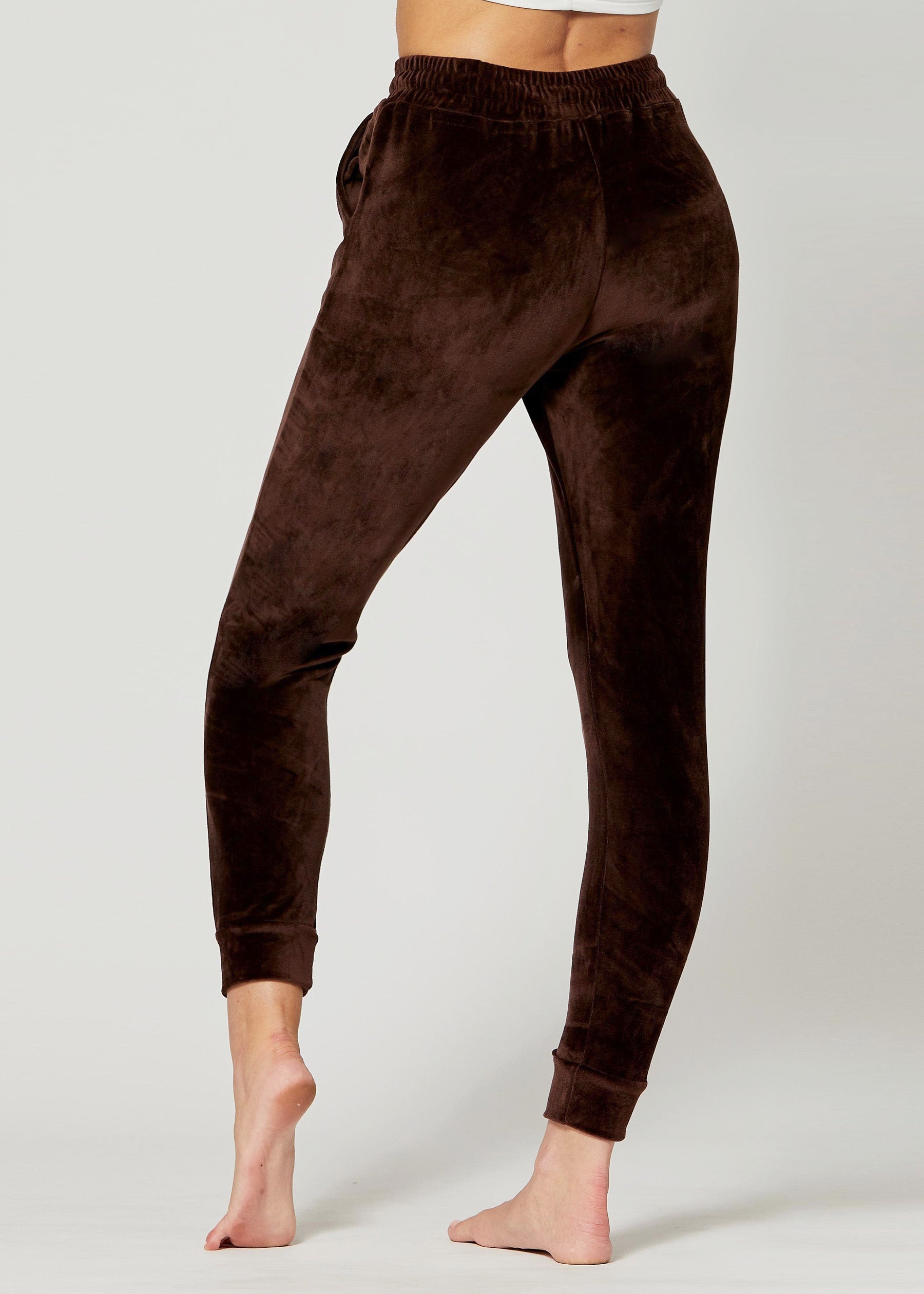 Noelle Ultra Soft Velour Joggers - Brown