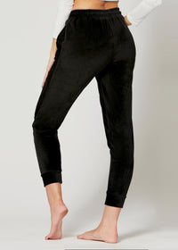 Noelle Ultra Soft Velour Joggers - Black
