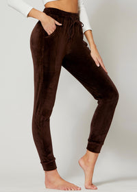 Noelle Ultra Soft Velour Joggers - Brown