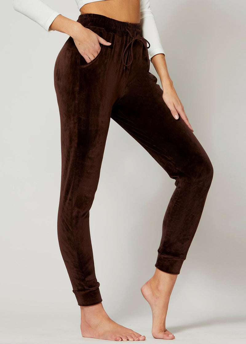 Noelle Ultra Soft Velour Joggers - Brown