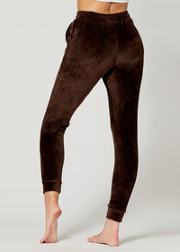 Noelle Ultra Soft Velour Joggers - Brown