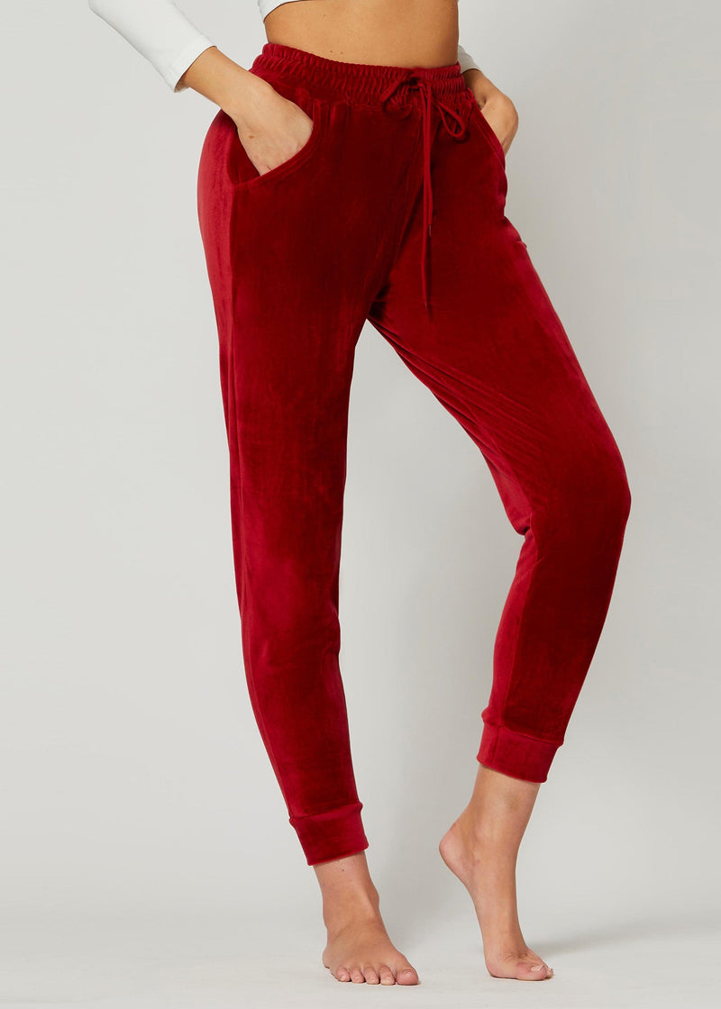 Noelle Ultra Soft Velour Joggers - Burgundy